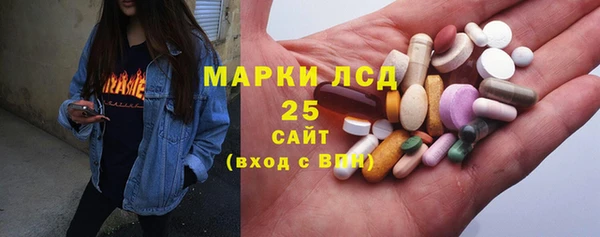 прущие грибы Балахна