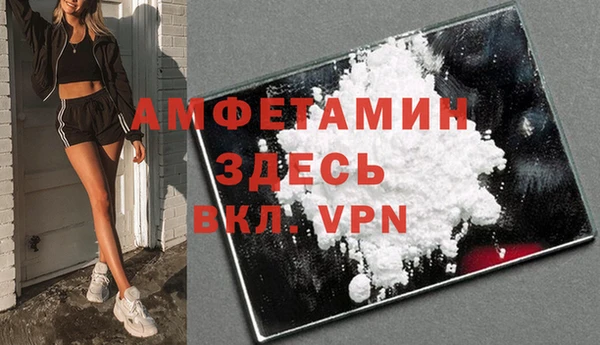 прущие грибы Балахна