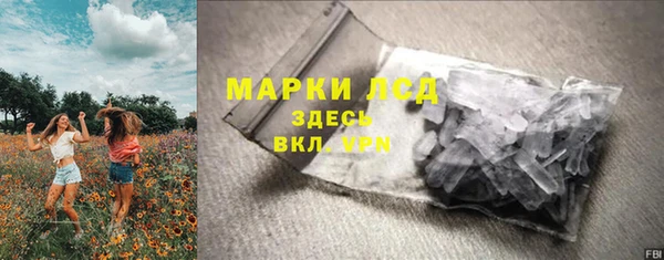прущие грибы Балахна