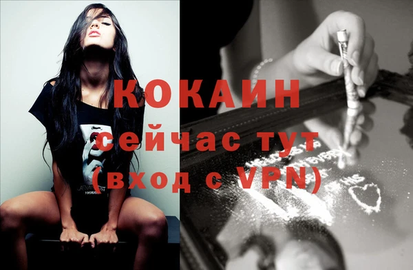 прущие грибы Балахна